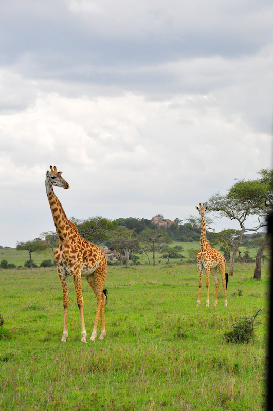 Melanie Heinrich Travel Images Africa